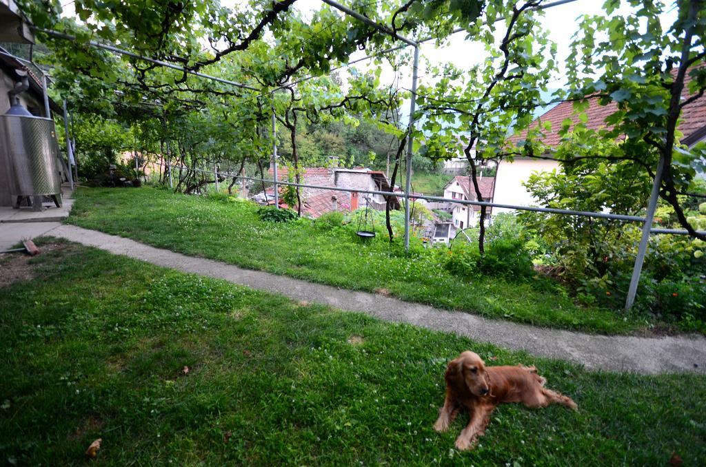 Guest House Konjic Exteriér fotografie